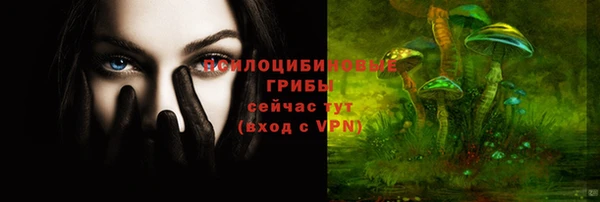 индика Наволоки